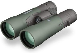 Best low light Binoculars