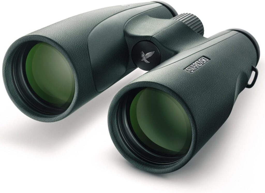 Best image stabilized binoculars
