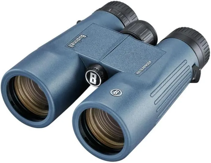 Best budget binoculars under $100 
