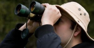 5 Best Compact Binoculars for Bird Watching