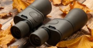 Best budget binoculars under $500