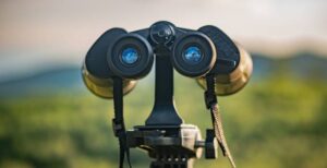 Best Autofocus Binoculars for Birding