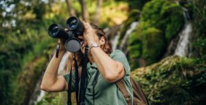 Best budget binoculars under $300